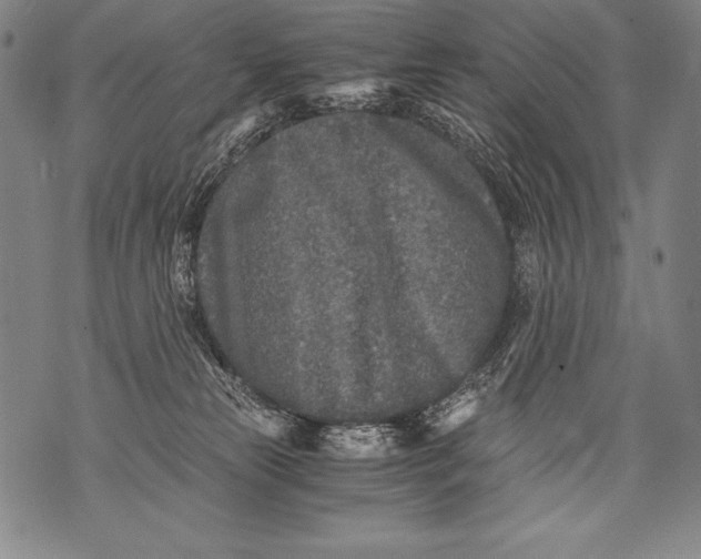 X0000076090181200610152327