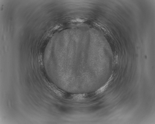 X0000076090182200610152327