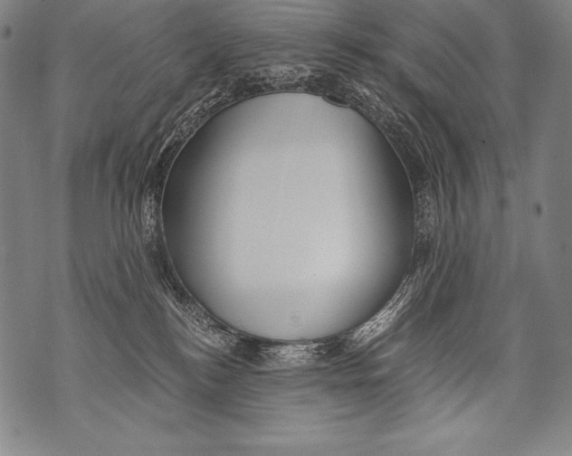 X0000076090184200610152327