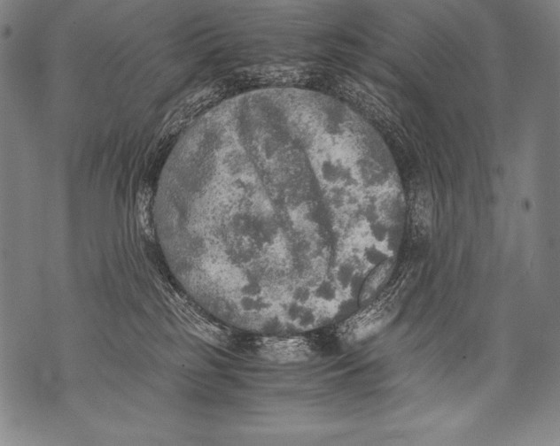 X0000076090185200610152327