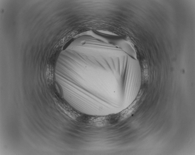 X0000076090186200610152327