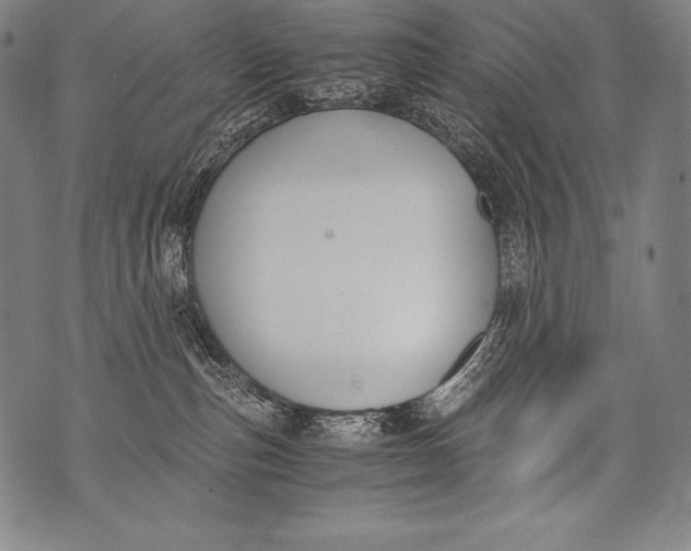 X0000076090187200610152327