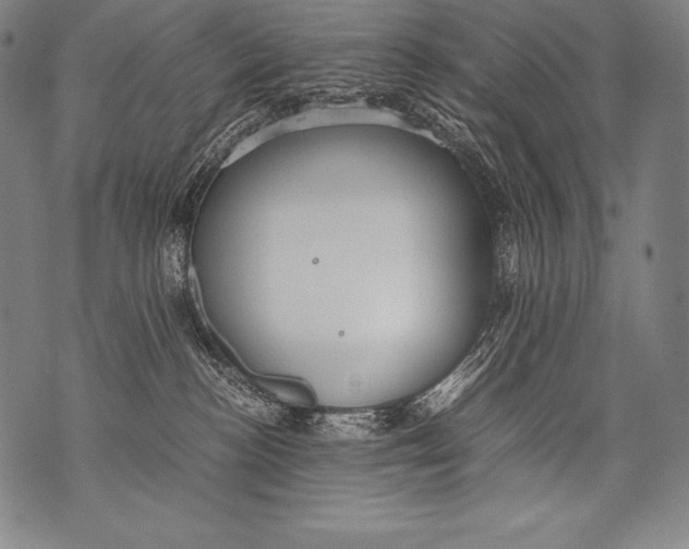 X0000076090188200610152328