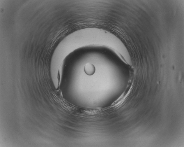 X0000076090190200610152328