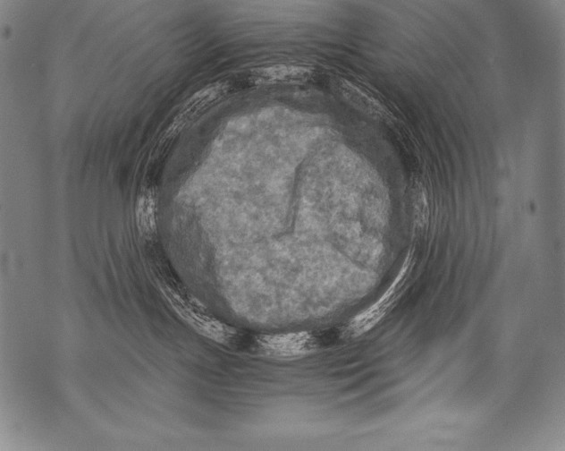 X0000076090191200610152328