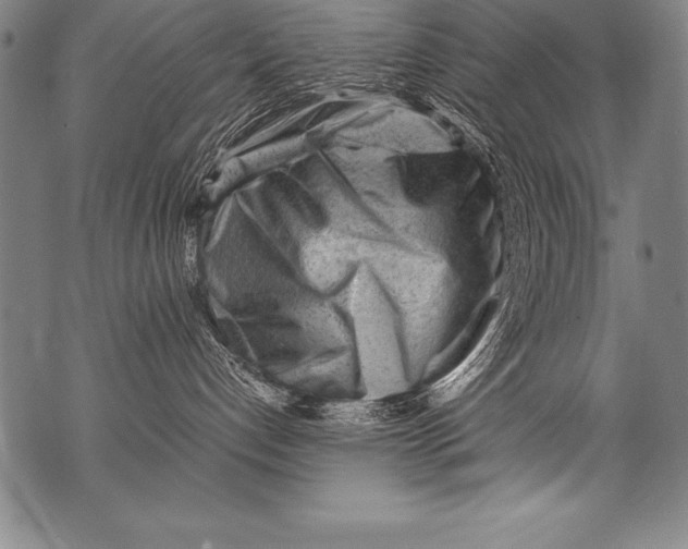 X0000076090192200610152328