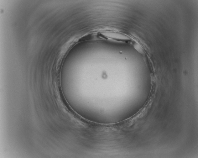 X0000076090193200610152327