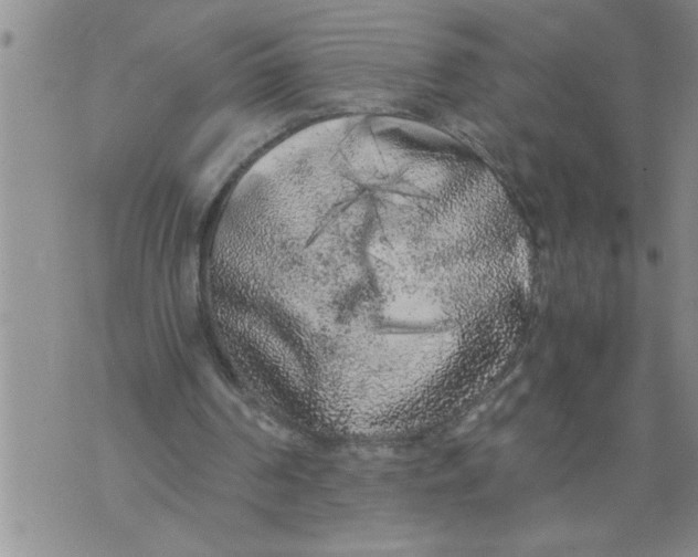 X0000076090194200610152327