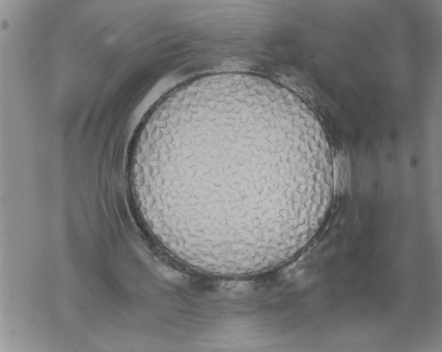 X0000076090195200610152327