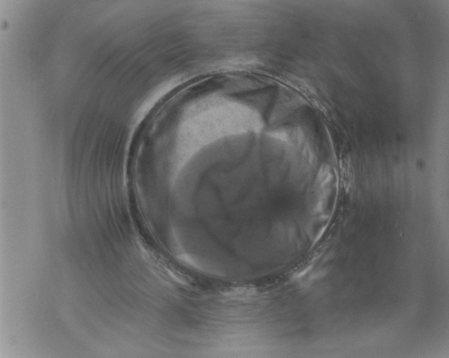 X0000076090196200610152327