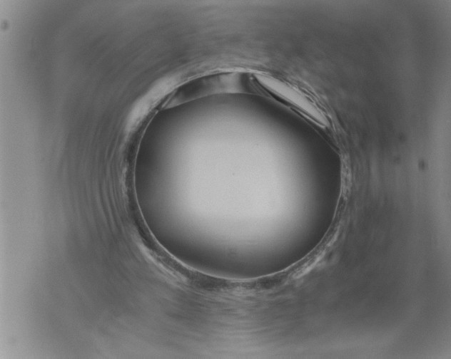 X0000076090197200610152327