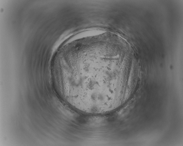 X0000076090198200610152327