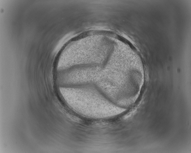 X0000076090199200610152327