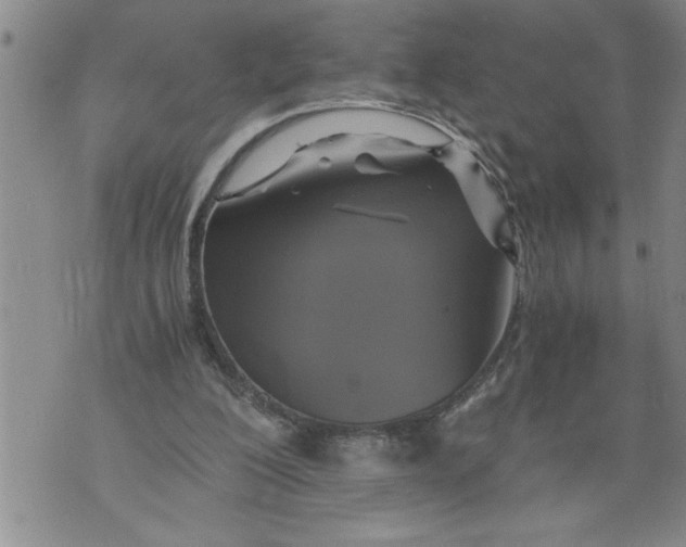 X0000076090200200610152327