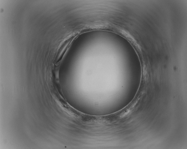 X0000076090201200610152327