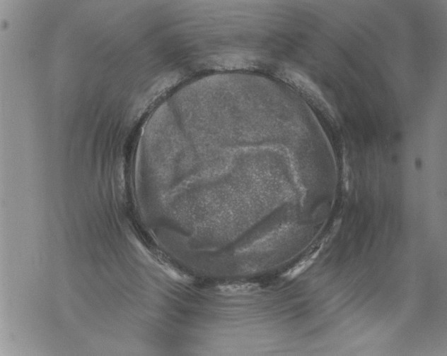 X0000076090202200610152327