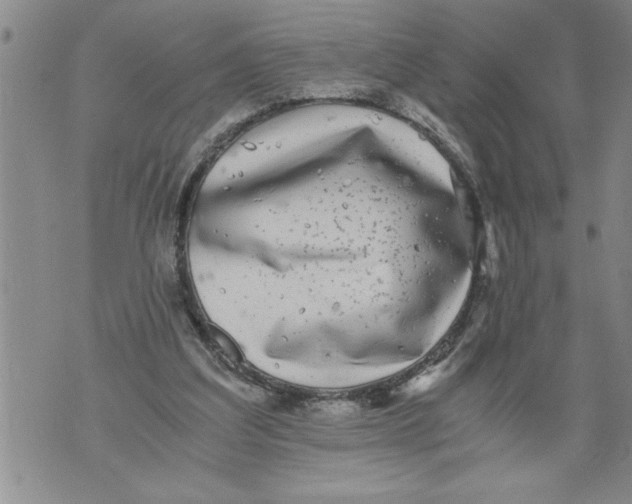 X0000076090203200610152327