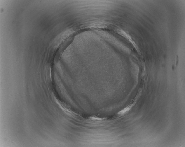 X0000076090205200610152327