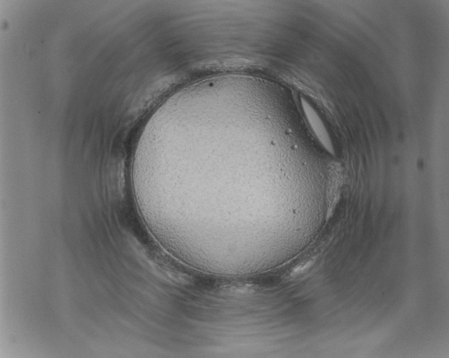 X0000076090206200610152327