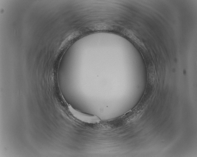 X0000076090207200610152327