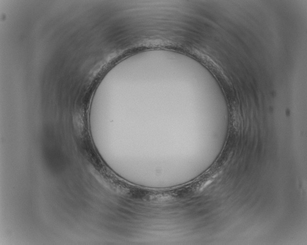 X0000076090208200610152327