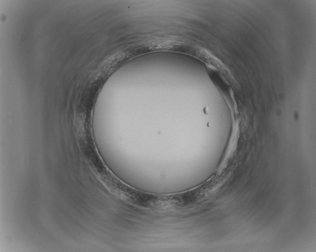 X0000076090209200610152327