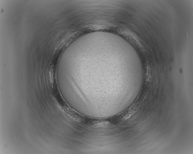 X0000076090210200610152327