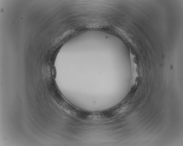 X0000076090211200610152327