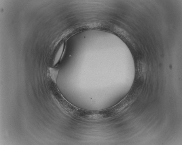 X0000076090212200610152326