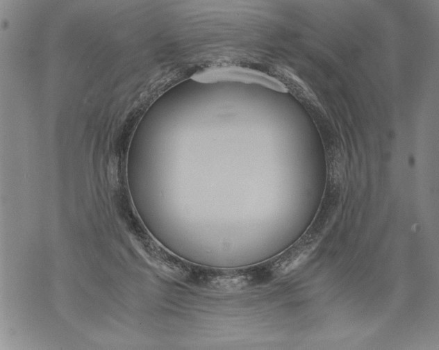 X0000076090213200610152326