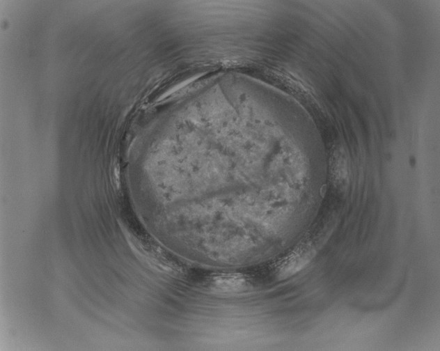 X0000076090214200610152326