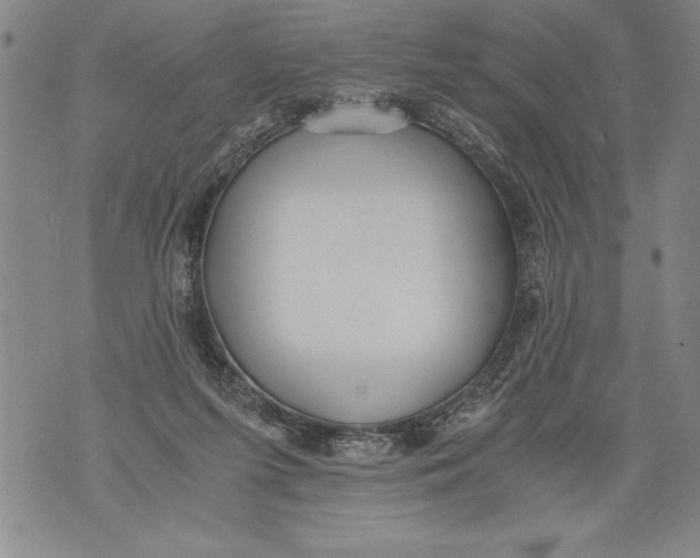 X0000076090215200610152326