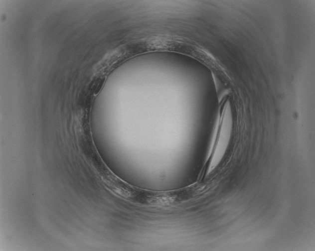 X0000076090217200610152326