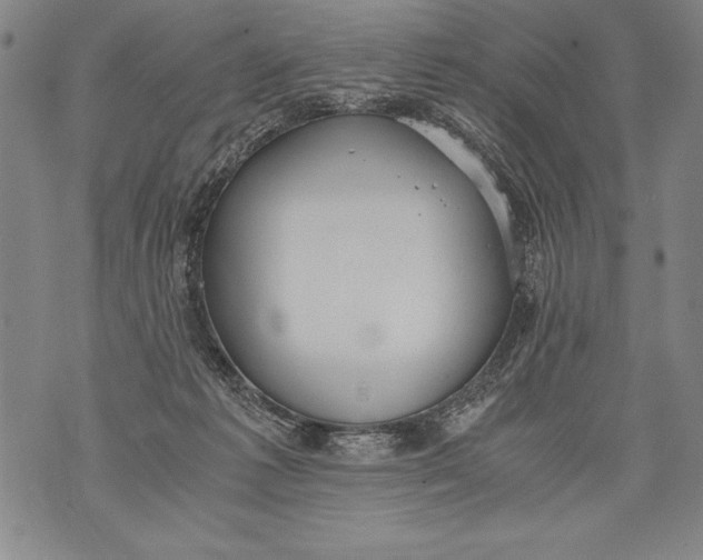 X0000076090221200610152326