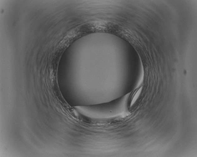 X0000076090223200610152326