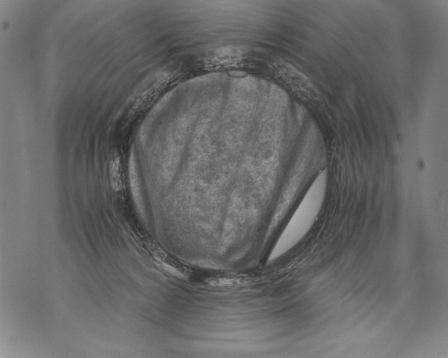 X0000076090224200610152326