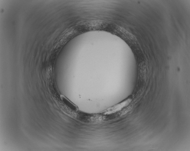 X0000076090225200610152326