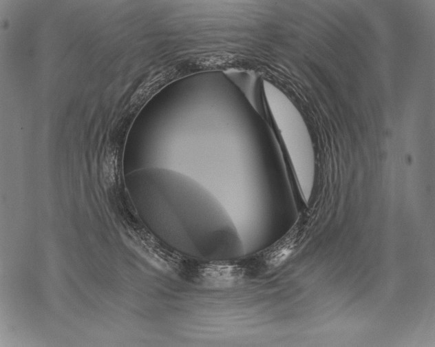 X0000076090227200610152326