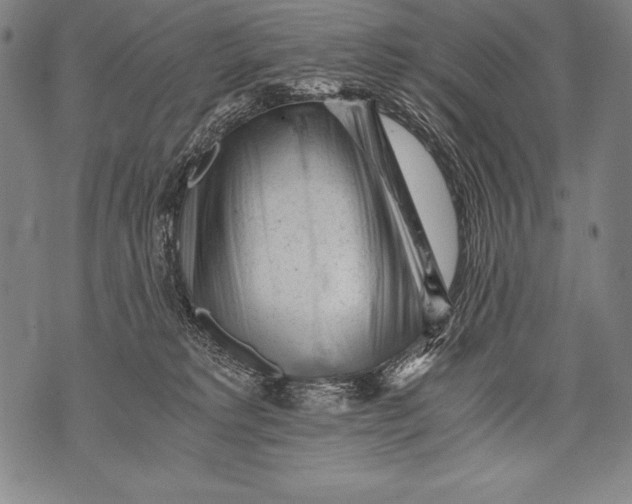 X0000076090229200610152326