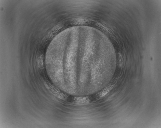 X0000076090230200610152326