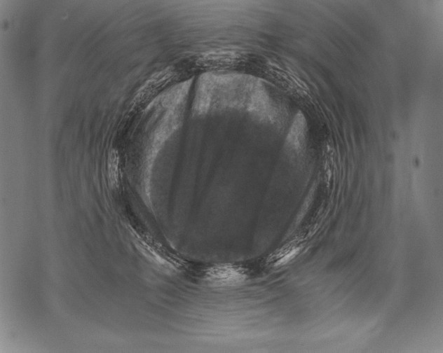 X0000076090231200610152326