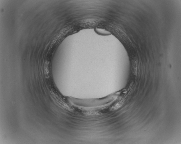 X0000076090232200610152326