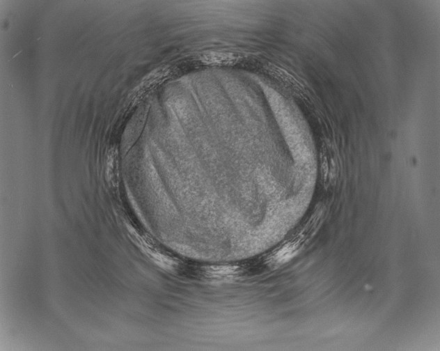 X0000076090233200610152326