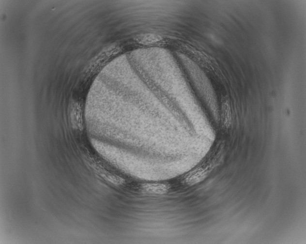 X0000076090234200610152326