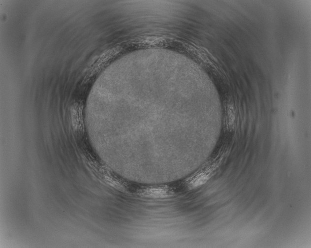 X0000076090236200610152326