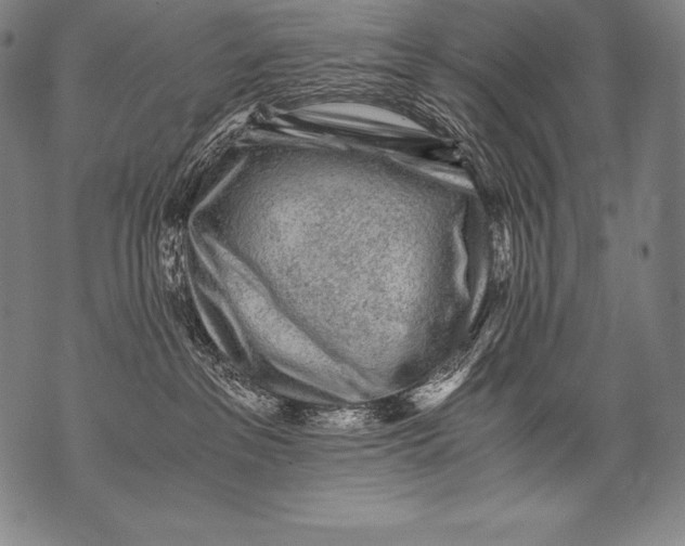 X0000076090237200610152326