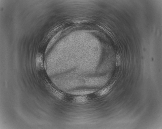 X0000076090238200610152326