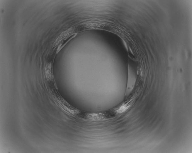 X0000076090239200610152326