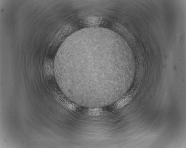 X0000076090240200610152326