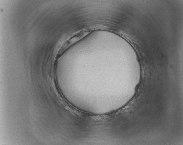 X0000076090241200610152325